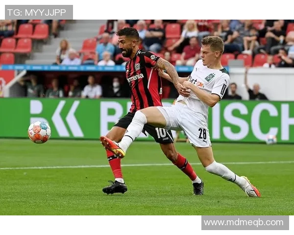 霍芬海姆主场迎战勒沃库森队期待精彩对决与激烈竞争