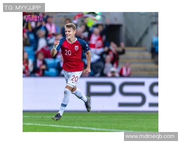 厄德高：完成晋级世界杯的方针含义严重；我刻不容缓想要回归